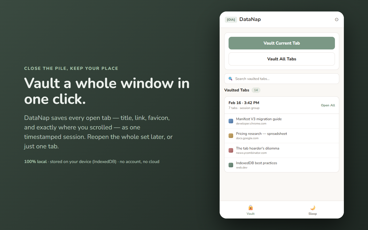 DataNap — vault a window of tabs as a saved session (placeholder, real capture needed)