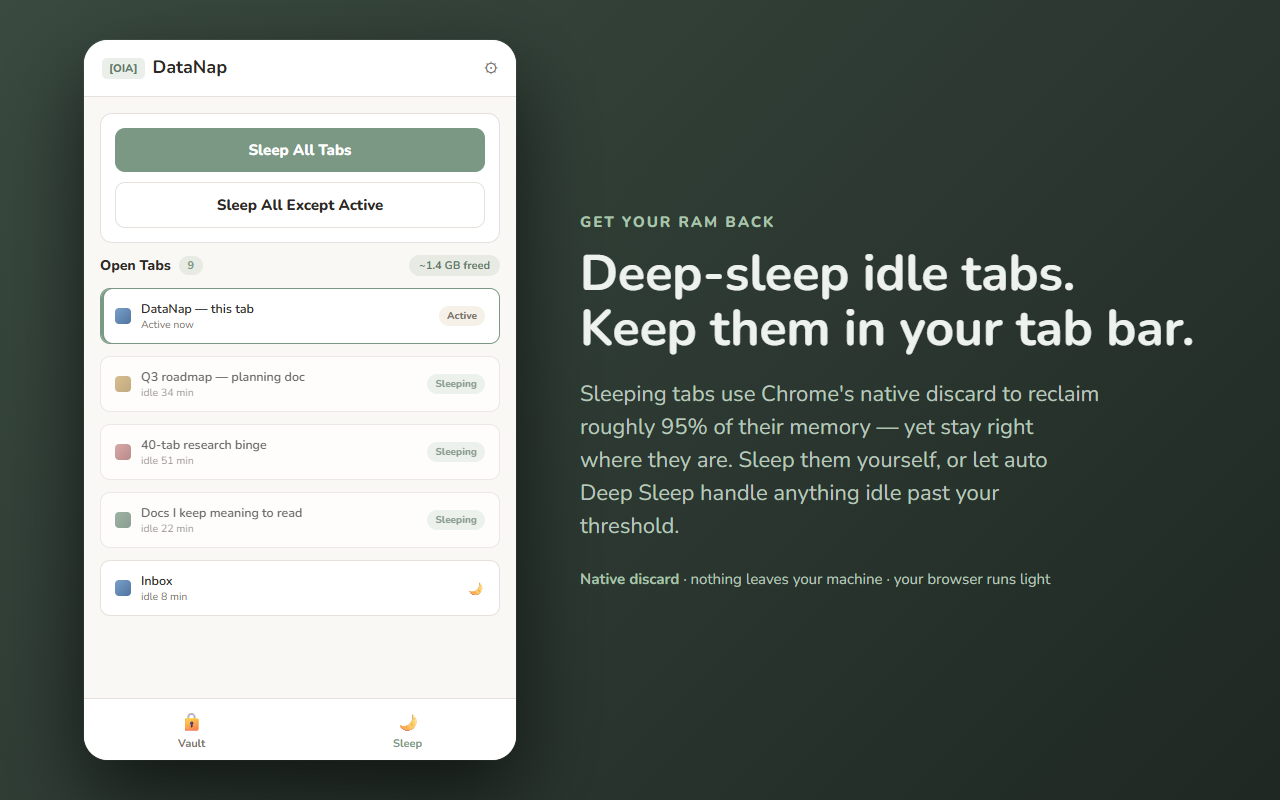 DataNap — deep-sleep idle tabs to free RAM (placeholder, real capture needed)
